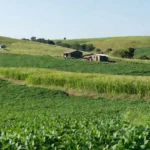 Foto: Extra de Rondônia