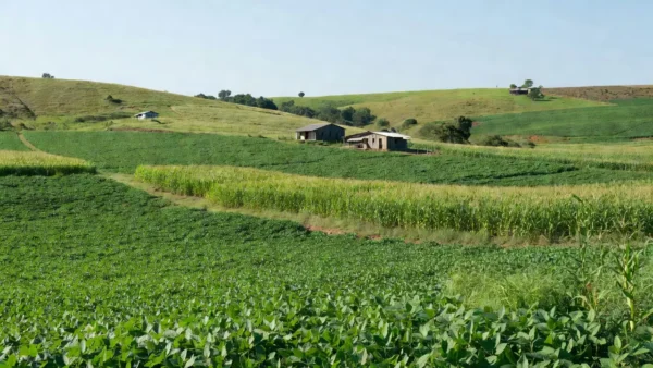 Foto: Extra de Rondônia