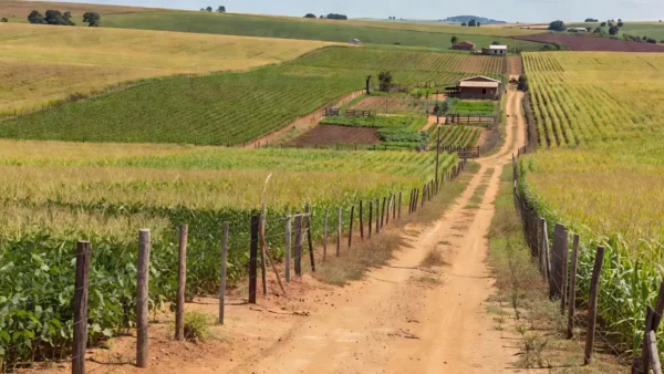 Terras rurais em Vilhena e Cone Sul, Rondônia, com plantações e propriedades de produtores.