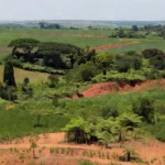 Paisagem rural de Vilhena e Cone Sul com terras agrícolas para titulação