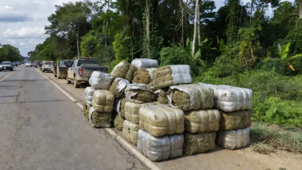 Apreensão de três toneladas de maconha pela PM e PRF em Monte Negro, Rondônia