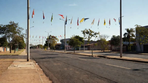 Canteiro central na avenida Melvin Jones / Foto: Extra de Rondônia