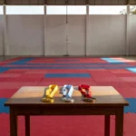 Medalhas de karatê conquistadas pela equipe de Vilhena no Brasileiro