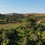 Paisagem rural do Cone Sul de Rondônia com campos e vegetação