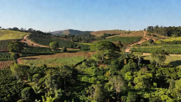 Paisagem rural do Cone Sul de Rondônia com campos e vegetação