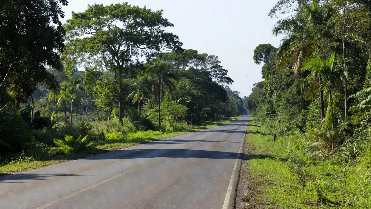 Rodovia em Vilhena, local da prisão com 9 kg de drogas de jovem desaparecida em Rio Branco