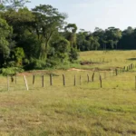 Área rural em Vilhena com sinais de invasão de terras