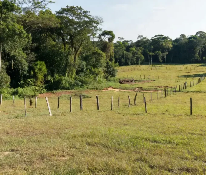 Área rural em Vilhena com sinais de invasão de terras