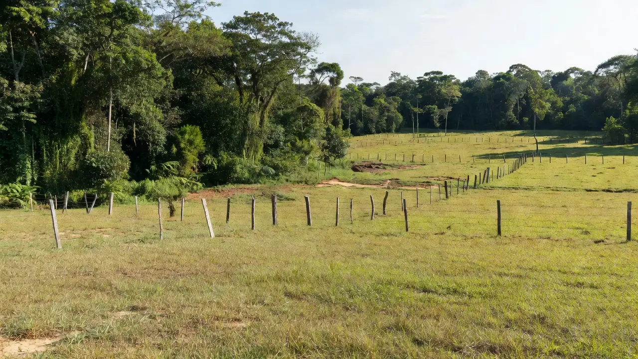 Área rural em Vilhena com sinais de invasão de terras